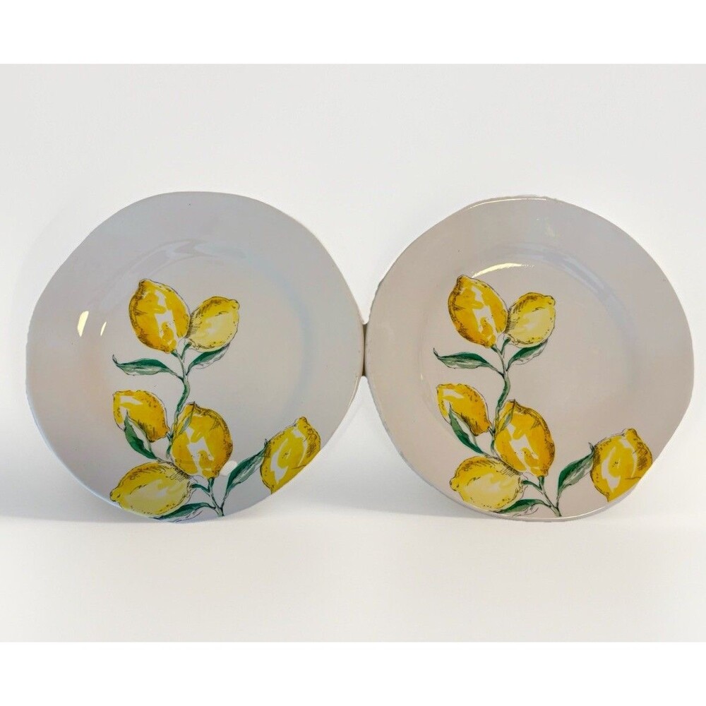 (2) Opificio Etico RARE Lemon 9" Salad Plates Tuscan Farmhouse Italy Very HTF